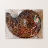 Ammolite Ammonit Puzzle (Horizontal)