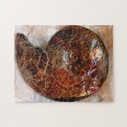 Ammolite Ammonit Puzzle (Horizontal)