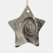 Ammoniak aus Dactyliocera Keramik Ornament (Rechts)