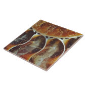 Ammoniak aus Madagaskar Fliese (Seite)