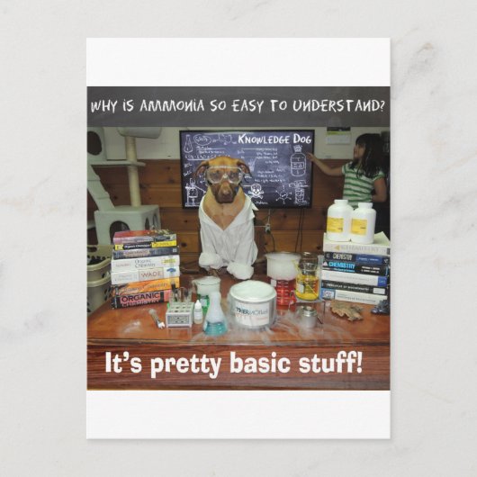 Ammoniak Postkarte (Vorderseite)