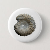 Ammoniit Button (Vorderseite)