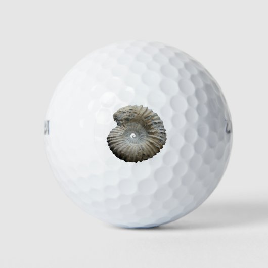 Ammoniit Golfball (Vorderseite)