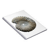 Ammoniit Notizblock (Rechte Seite)