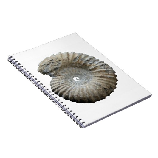 Ammoniit Notizblock (Rechte Seite)