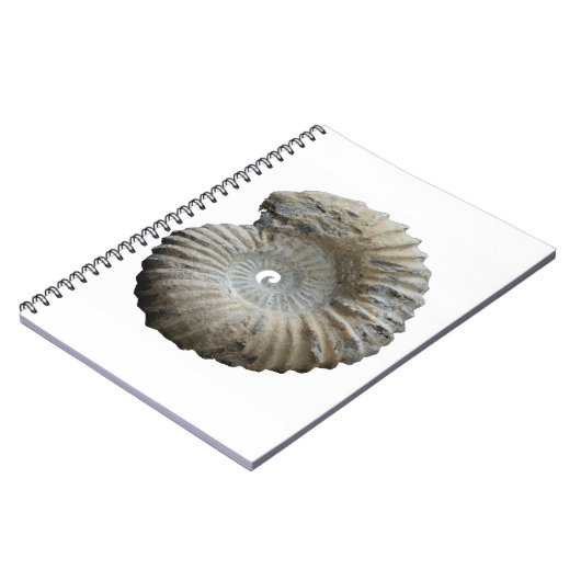 Ammoniit Notizblock (Linke Seite)