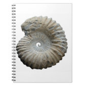 Ammoniit Notizblock (Vorderseite)