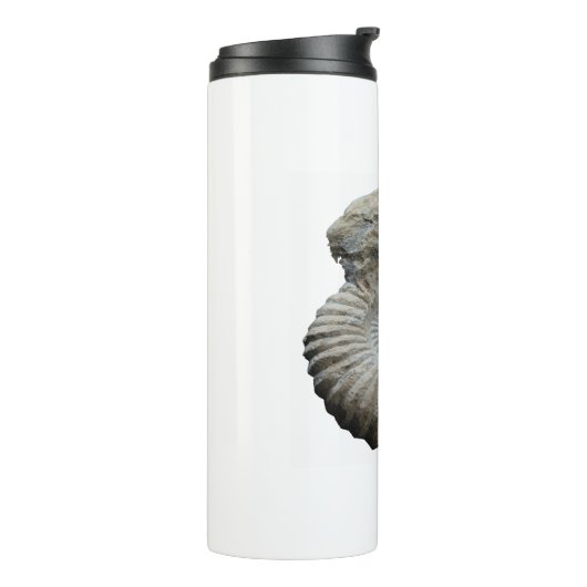 Ammoniit Thermosbecher (Nach links gedreht)