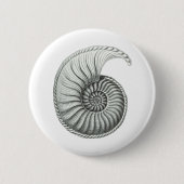Ammonit Button (Vorderseite)