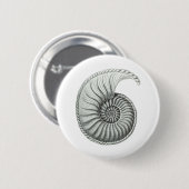Ammonit Button (Vorne & Hinten)
