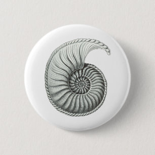 Ammonit Button
