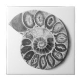 Ammonit Fliese (Vorderseite)