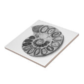 Ammonit Fliese (Seite)