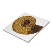 Ammonit-Fossil Fliese (Seite)