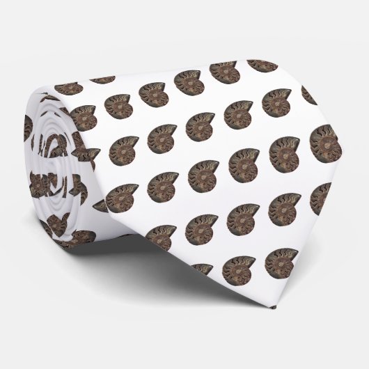 Ammonit Fossil Foto gezäunt Krawatte (Gerollt)