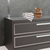 Ammonit Fossil Foto gezäunt Krawatte