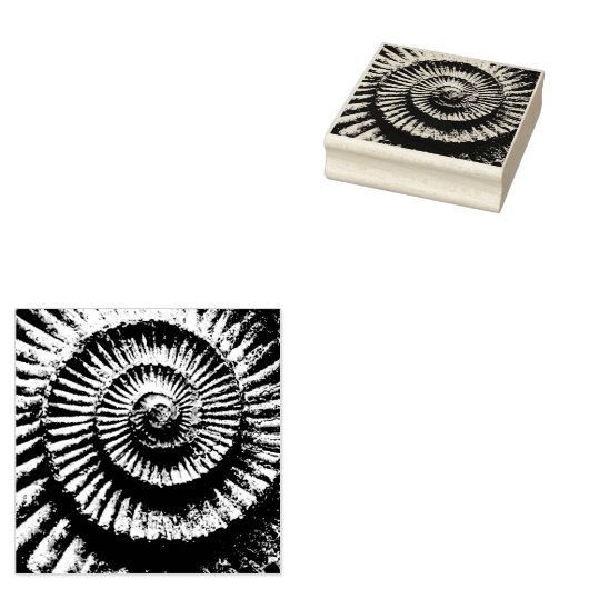 Ammonit-Fossil Gummistempel (Stempel)