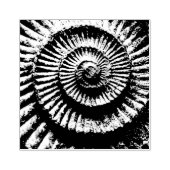 Ammonit-Fossil Gummistempel (Prägung)