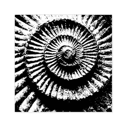 Ammonit-Fossil Gummistempel (Prägung)