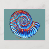 Ammonit-Fossil Postkarte (Vorderseite)