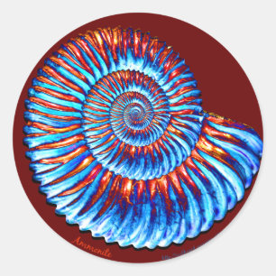 Ammonit-Fossil Runder Aufkleber