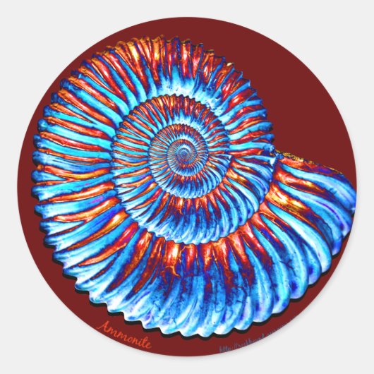 Ammonit-Fossil Runder Aufkleber (Vorderseite)
