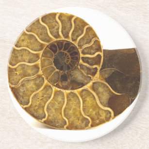 Ammonit-Fossil Sandstein Untersetzer