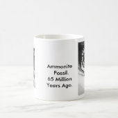 Ammonit-Fossil-Schale Kaffeetasse (Mittel)