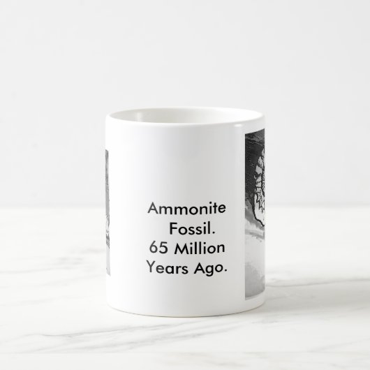Ammonit-Fossil-Schale Kaffeetasse (Mittel)
