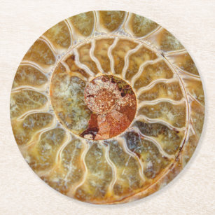 Ammonit-Fossil-Untersetzer Runder Pappuntersetzer