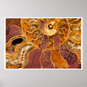 Ammonit-Fossil-Wandkunst Erdtöne-Abstrakt Poster