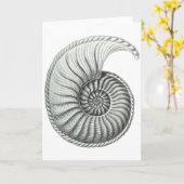 Ammonit Karte (Gelbe Blume)