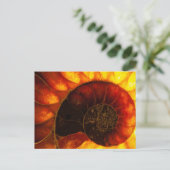 Ammonit mit Hintergrundbeleuchtung, Cleoniceras Postkarte (Stehend Vorderseite)