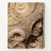 Ammonit-Muscheln mit Ihrem Namen und Monogramm Notizblock (Rückseite)