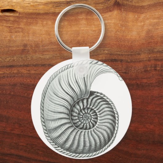 Ammonit Schlüsselanhänger (Vorderseite)