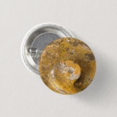 Ammonit und andere Fossilien im Foto Rock Button (Vorne & Hinten)