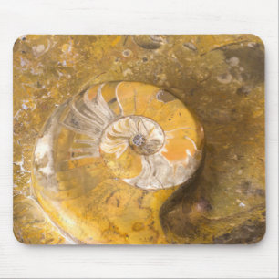 Ammonit und andere Fossilien in Rockfotografie Mousepad