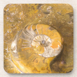 Ammonit und Fossilien in Rock Nature Fotografy Getränkeuntersetzer