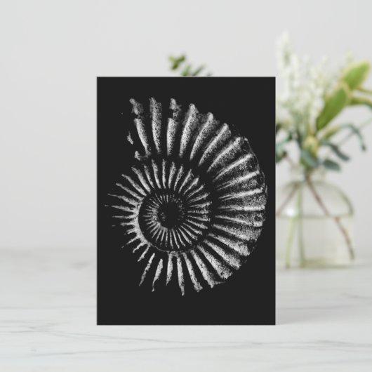 Ammonit weiß, schwarz feiertagskarte (Stehend Vorderseite)