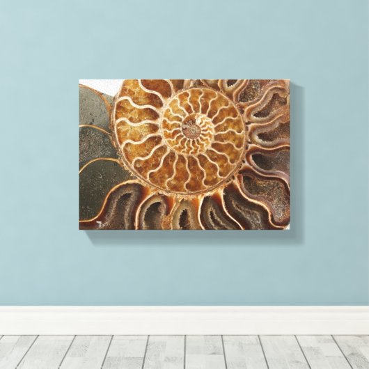 Ammonite Art Print Leinwanddruck (Insitu (Holzboden))