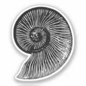 Ammonite Fossil Aufkleber (Vorderseite)