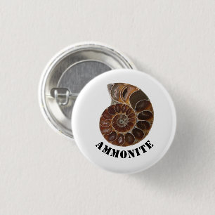Ammonite Fossil Button