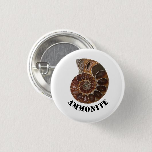 Ammonite Fossil Button (Vorne & Hinten)