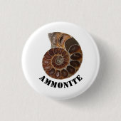 Ammonite Fossil Button (Vorderseite)