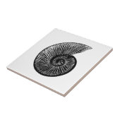 Ammonite Fossil Fliese (Seite)