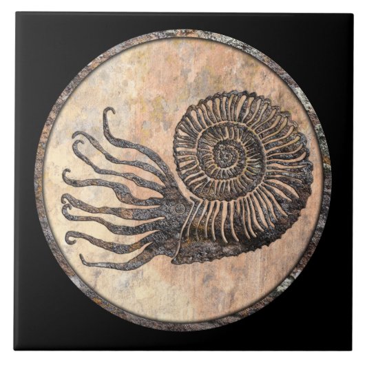 Ammonite Fossil Keramik Tile Fliese (Vorderseite)