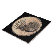 Ammonite Fossil Keramik Tile Fliese (Seite)