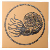 Ammonite Fossil Keramik Tile Fliese (Vorderseite)