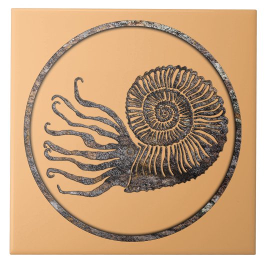 Ammonite Fossil Keramik Tile Fliese (Vorderseite)