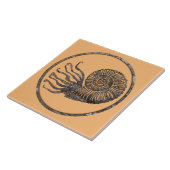 Ammonite Fossil Keramik Tile Fliese (Seite)